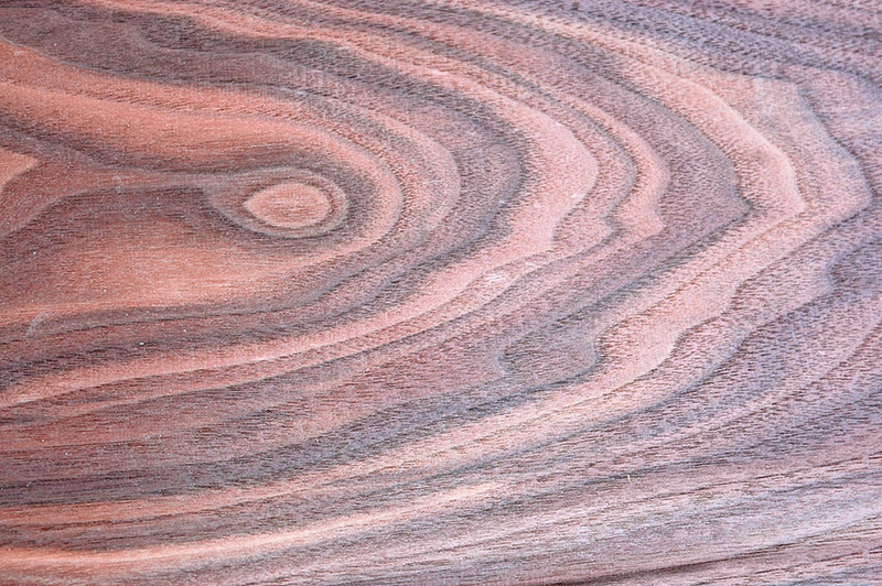 Humidor nach Maß, Maßanfertigung Massivholz Augsburg Bayern Deutschland